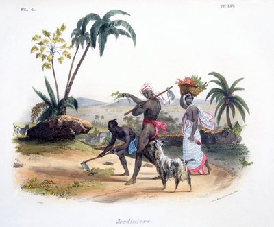 Jardineros cultivando vegetales, 1827-35 de M.E. Burnouf